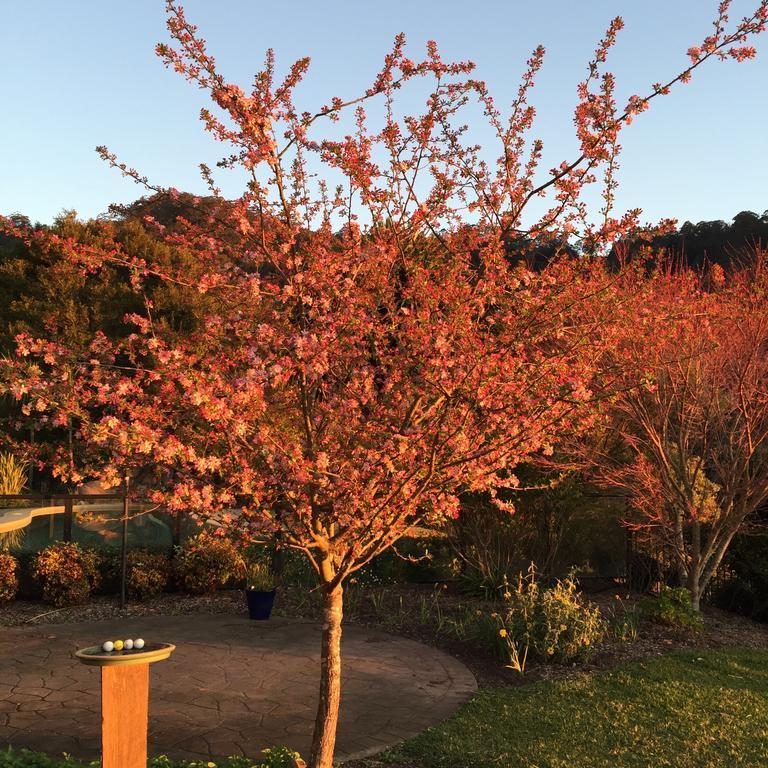 Heggy'S Cottage Wattamolla Luaran gambar