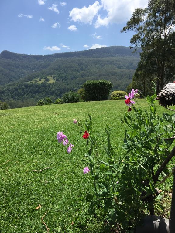 Heggy'S Cottage Wattamolla Luaran gambar